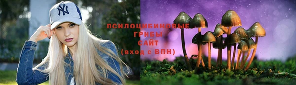 прущие крисы Нефтекумск