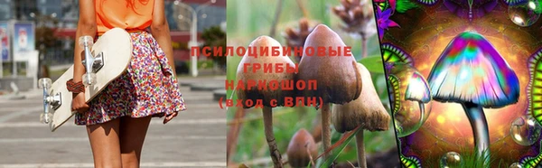 винт Наволоки